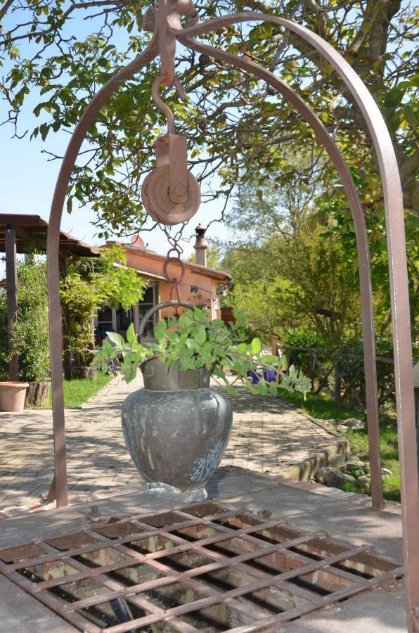 מלון לוצ'יניאנו Elisabeth House מראה חיצוני תמונה